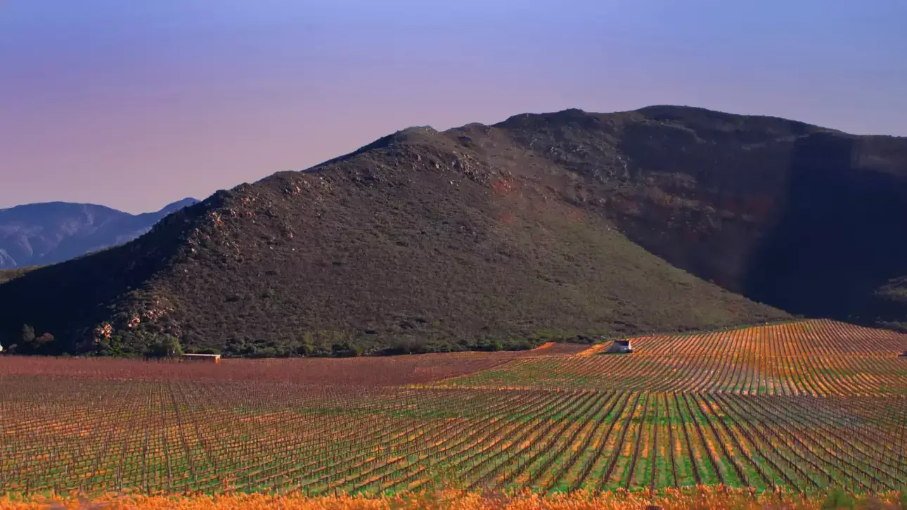 Klein Karoo Featured Image Landscape