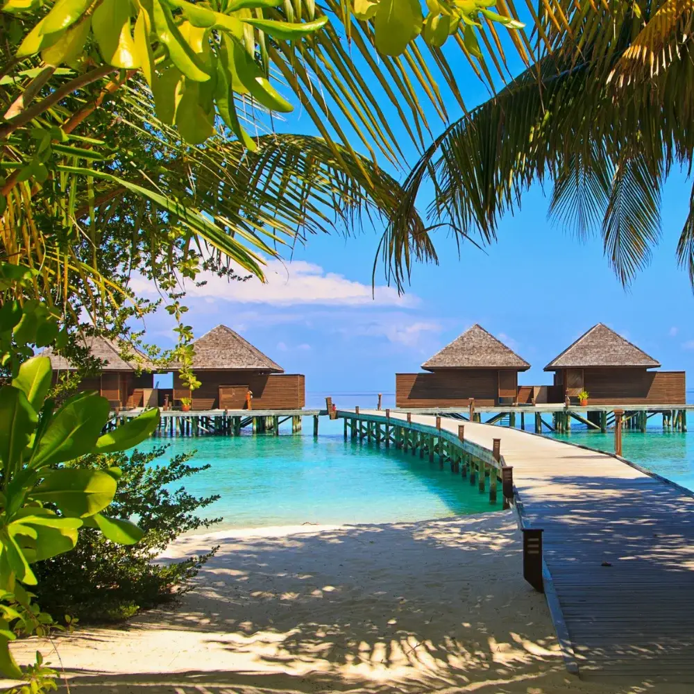 Maldives