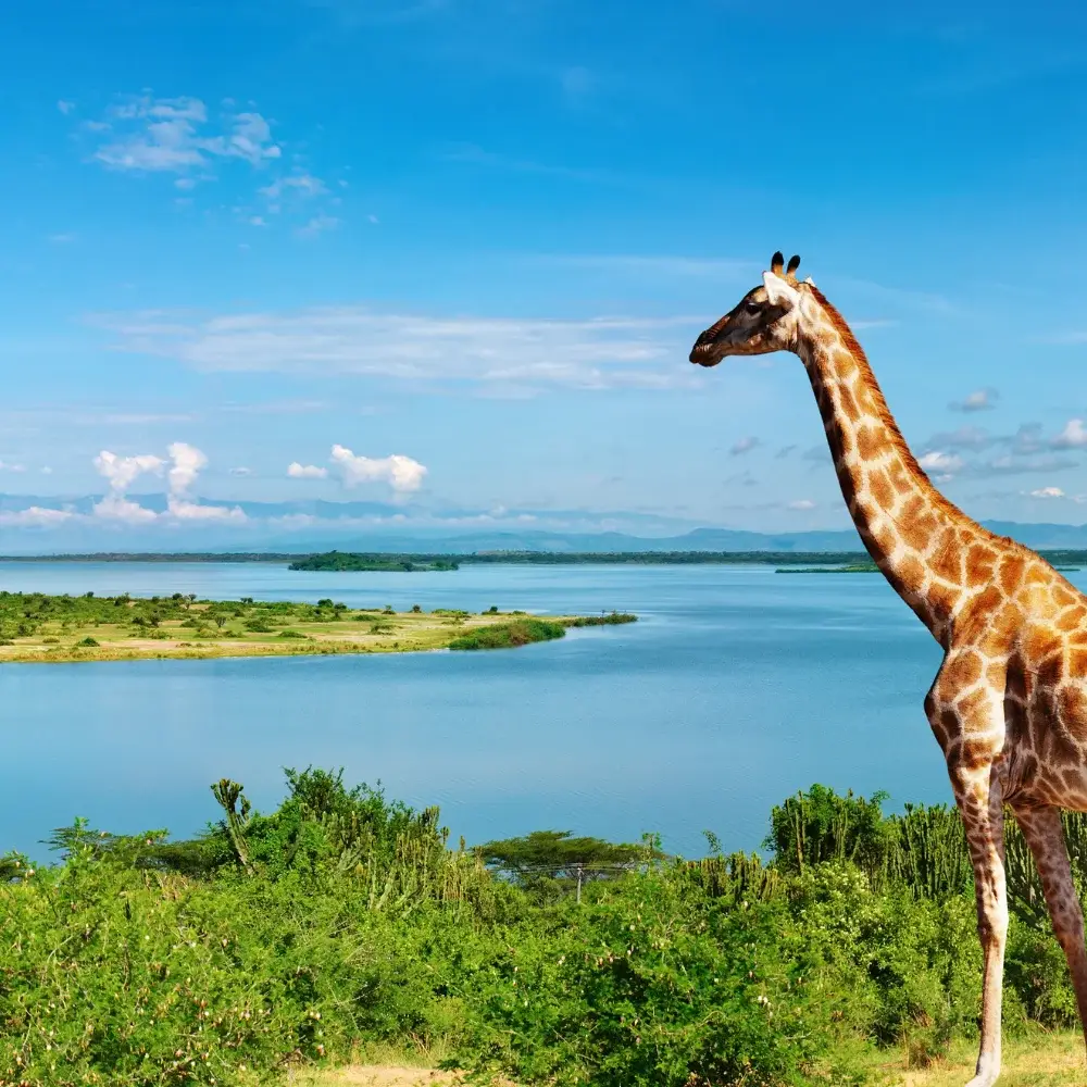 Uganda