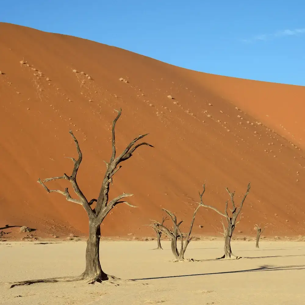 Namibia