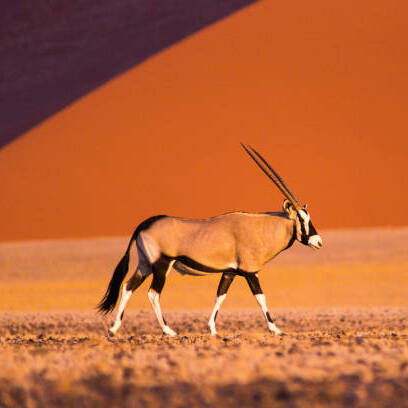 Namibia