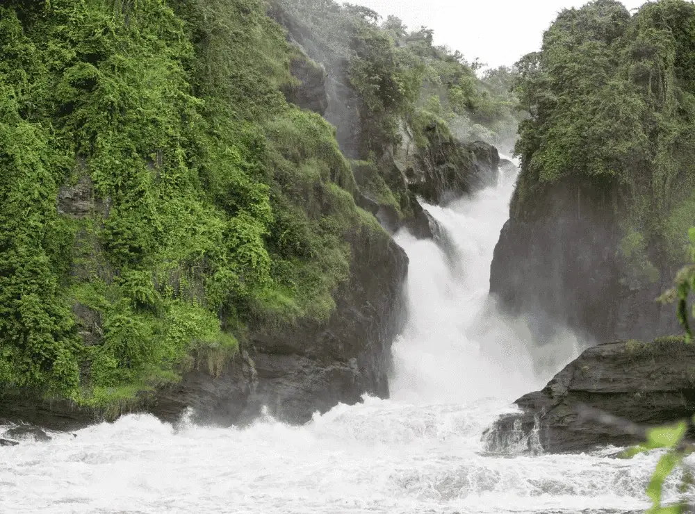 Murchison Falls National Park Featured
