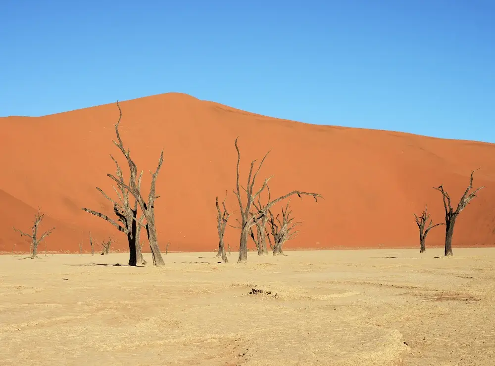 Sossusvlei and Dead Vlei Featured