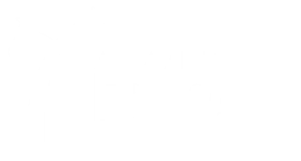 Amazing Africa