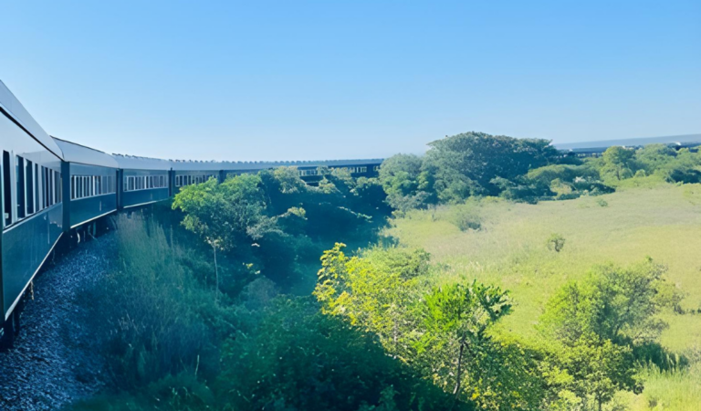 Exploring Southern Africa with Rovos Rail: Journeys Through Scenery, History & Luxury