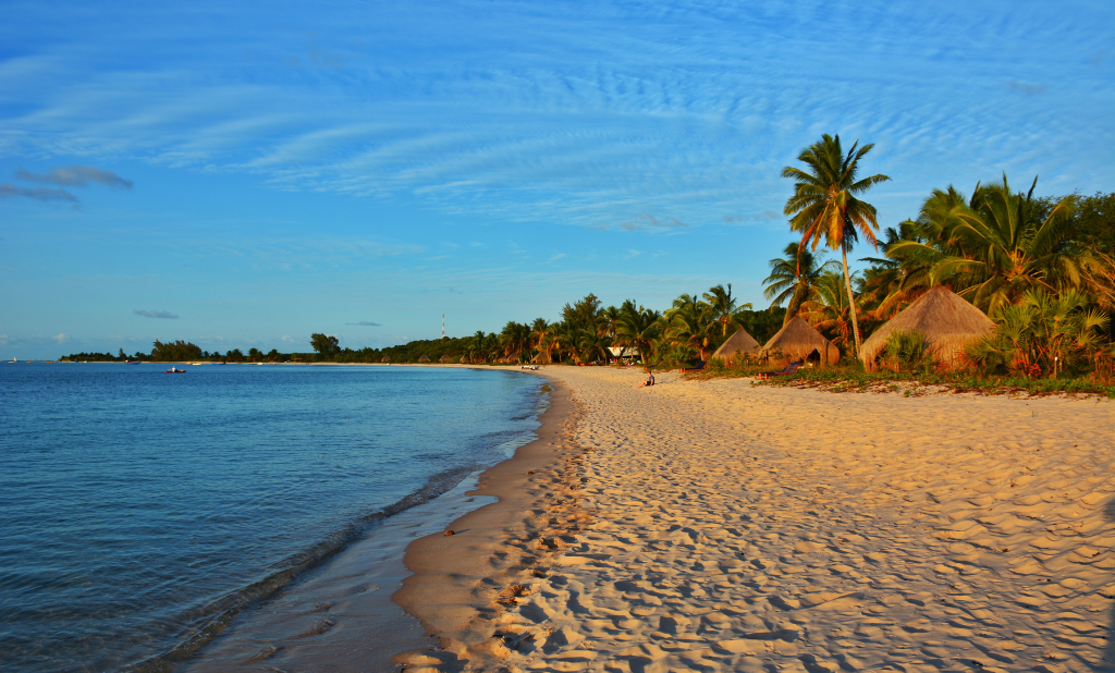 Exploring Mozambique: From Gorongosa’s Wild Plains to the Quiet Shores of Benguerra