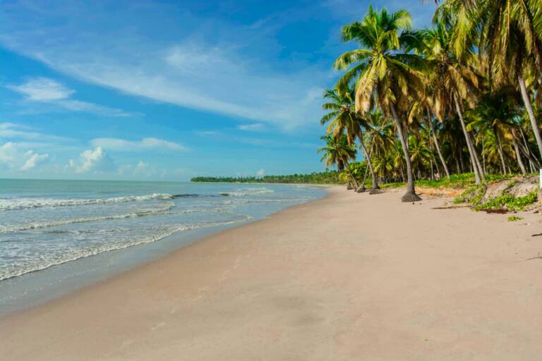 Exploring Mozambique: From Gorongosa’s Wild Plains to the Quiet Shores of Benguerra