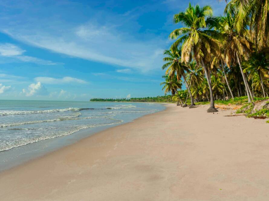 Exploring Mozambique: From Gorongosa’s Wild Plains to the Quiet Shores of Benguerra