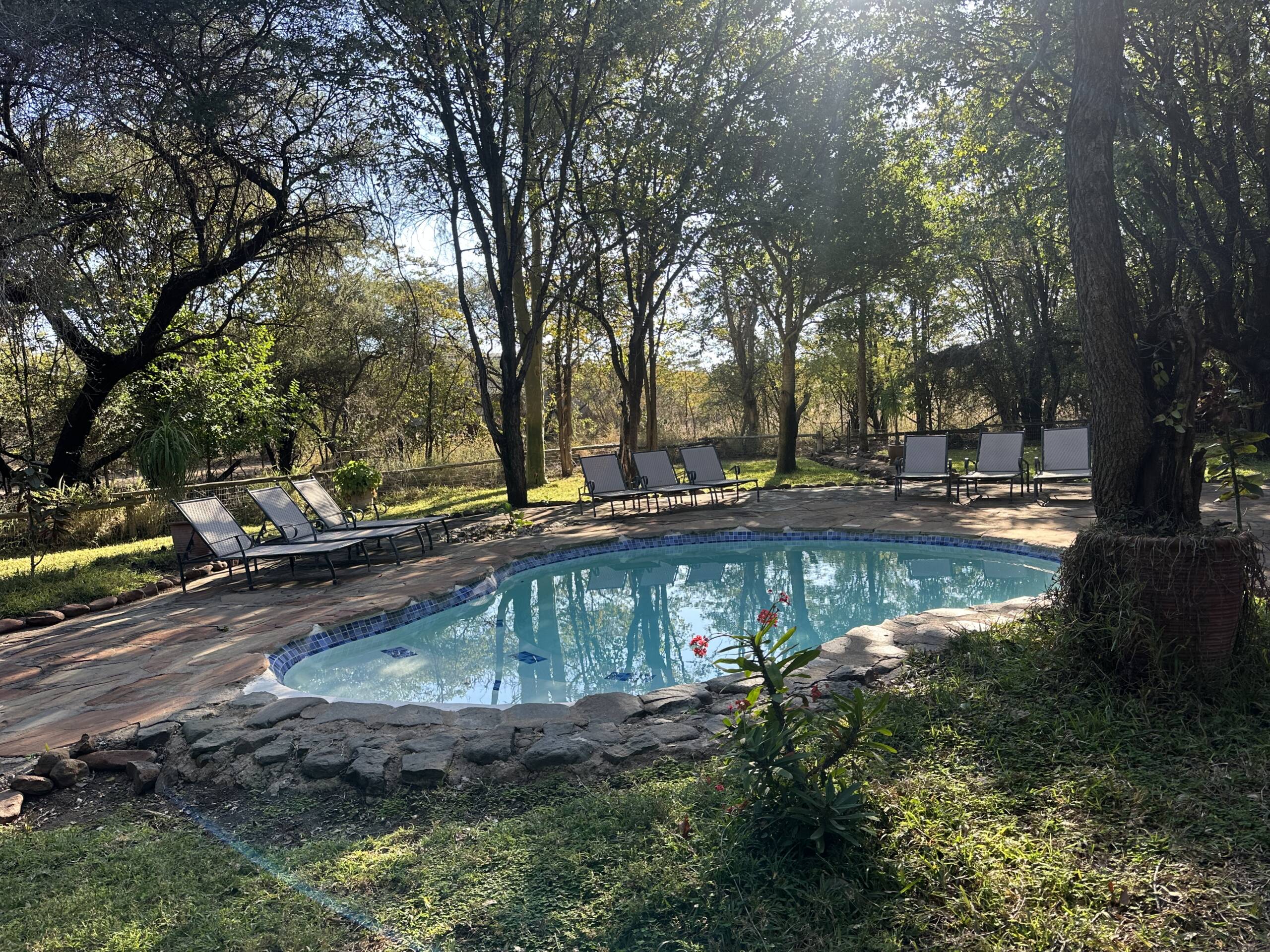 Wild Contrasts: Connecting South Africa’s Pafuri Concession with Botswana’s Mashatu Reserve