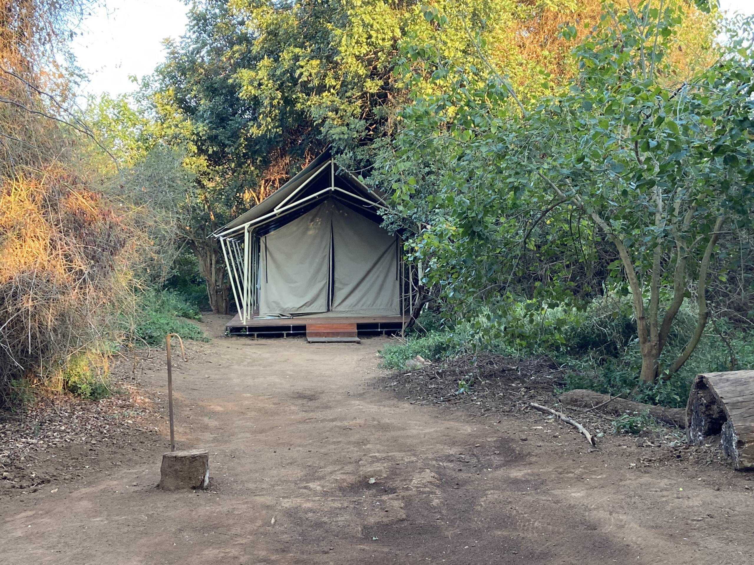 Wild Contrasts: Connecting South Africa’s Pafuri Concession with Botswana’s Mashatu Reserve
